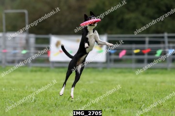 IMG_2705.jpg