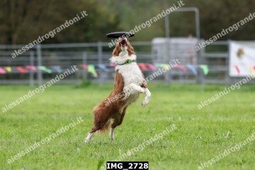 IMG_2728.jpg