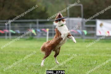 IMG_2730.jpg