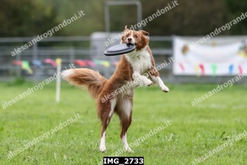 IMG_2733.jpg