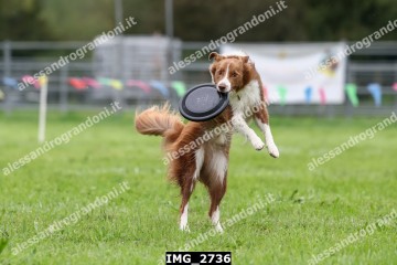 IMG_2736.jpg