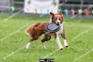 IMG_2740.jpg