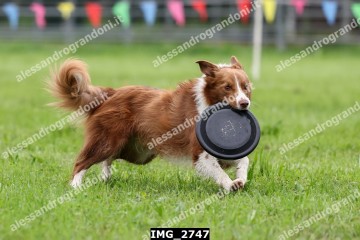 IMG_2747.jpg