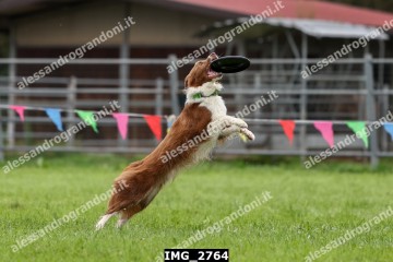 IMG_2764.jpg