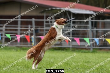 IMG_2766.jpg