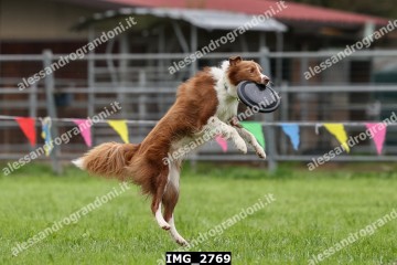 IMG_2769.jpg