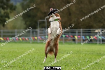 IMG_2783.jpg