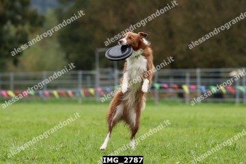 IMG_2787.jpg