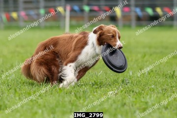 IMG_2799.jpg