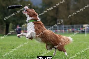 IMG_2860.jpg