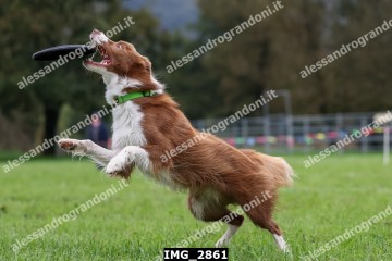IMG_2861.jpg
