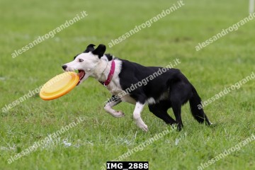 IMG_2888.jpg