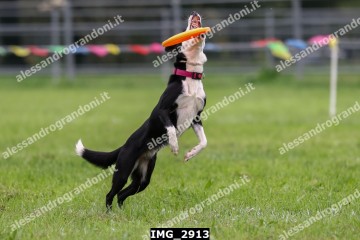 IMG_2913.jpg