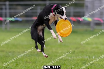 IMG_2920.jpg