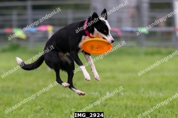 IMG_2924.jpg