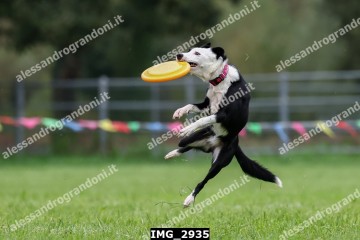 IMG_2935.jpg