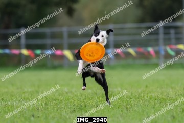IMG_2940.jpg