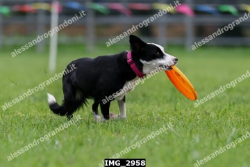 IMG_2958.jpg