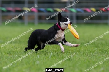 IMG_2962.jpg