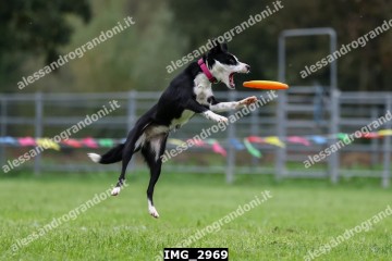 IMG_2969.jpg