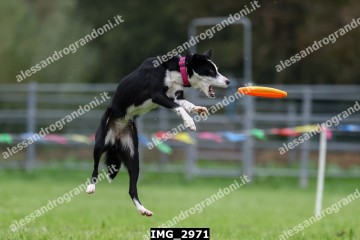 IMG_2971.jpg