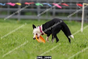 IMG_2999.jpg