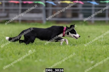 IMG_3026.jpg