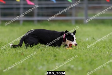 IMG_3034.jpg