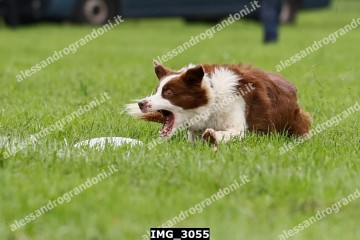 IMG_3055.jpg