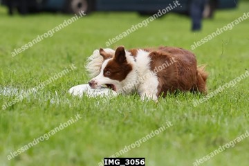 IMG_3056.jpg