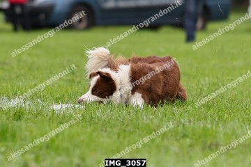 IMG_3057.jpg