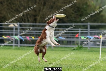 IMG_3068.jpg