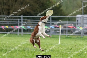 IMG_3071.jpg
