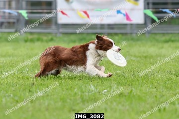 IMG_3082.jpg
