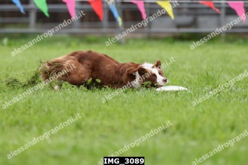 IMG_3089.jpg