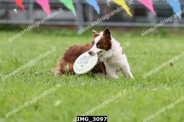 IMG_3097.jpg
