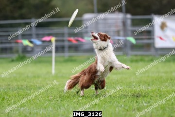 IMG_3126.jpg