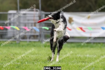 IMG_3196.jpg