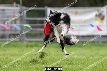 IMG_3199.jpg