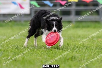 IMG_3210.jpg