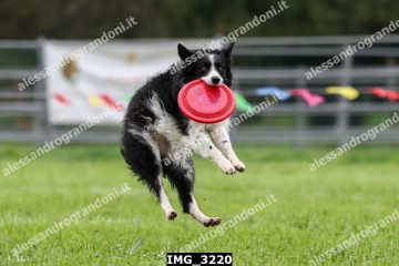 IMG_3220.jpg