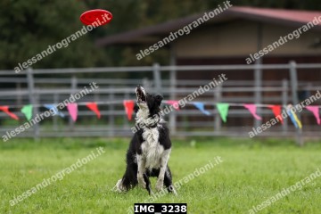 IMG_3238.jpg