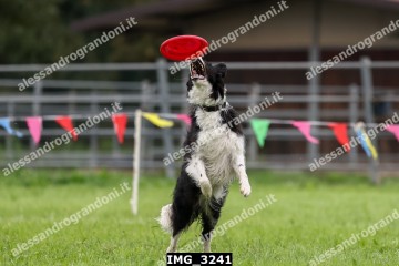 IMG_3241.jpg