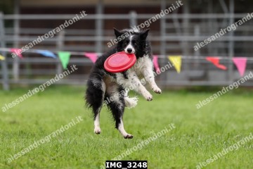 IMG_3248.jpg