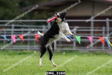 IMG_3260.jpg
