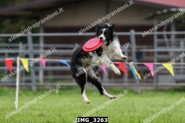 IMG_3263.jpg
