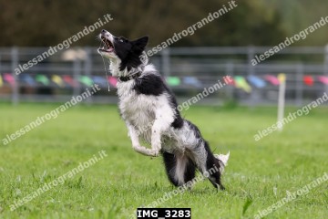 IMG_3283.jpg