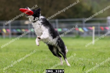 IMG_3287.jpg