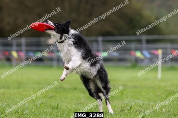 IMG_3288.jpg