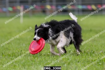 IMG_3300.jpg
